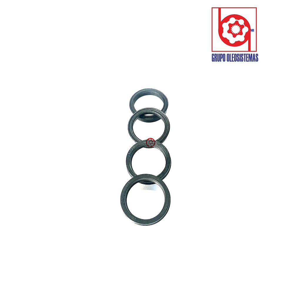 POLYSEAL TIPO B 12501.000-250