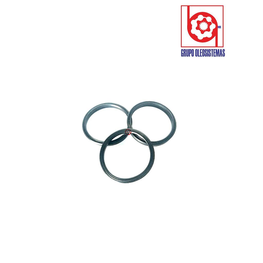 POLYSEAL TIPO B 12501.750-250