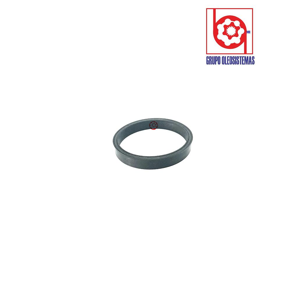 POLYSEAL TIPO B 12502.000-250