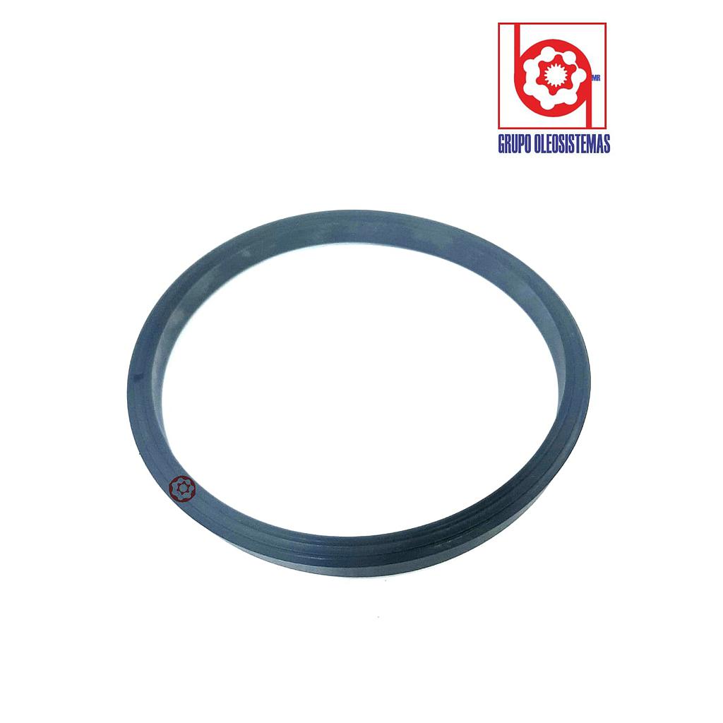 POLYSEAL TIPO B 31207.250-625
