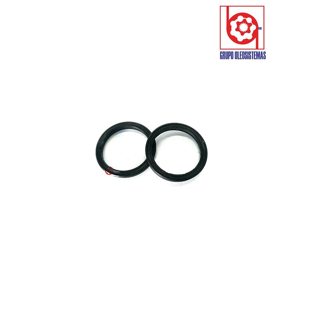 POLYSEAL TIPO B 12501.375-187