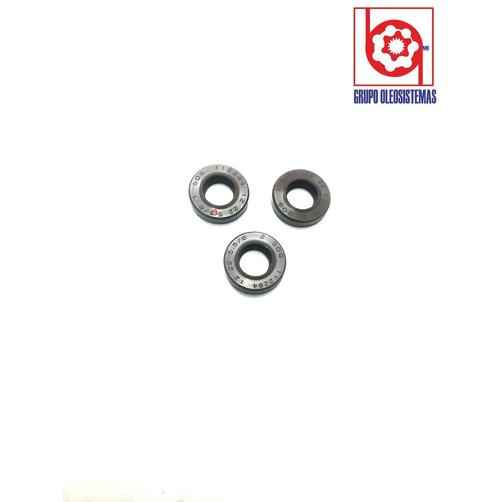 RETEN MILIMETRICO (12X22X06)VITON